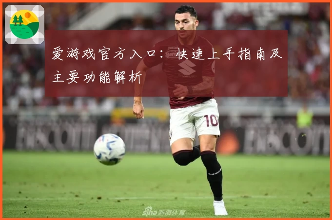 爱游戏官方入口：快速上手指南及主要功能解析